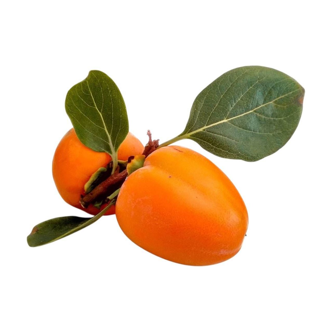 Getrocknete Kaki, Persimmon, Hoshigaki, Cennet Hurmasi, Trabzon Hurmasi, Natur - Frucht-Nuss