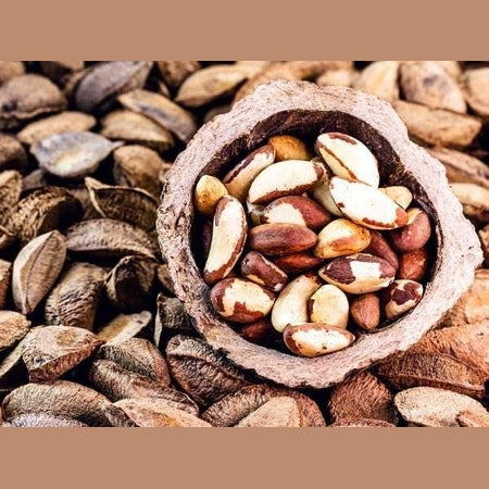 Paranüsse, naturbelassen und unbehandelt - Frucht-Nuss