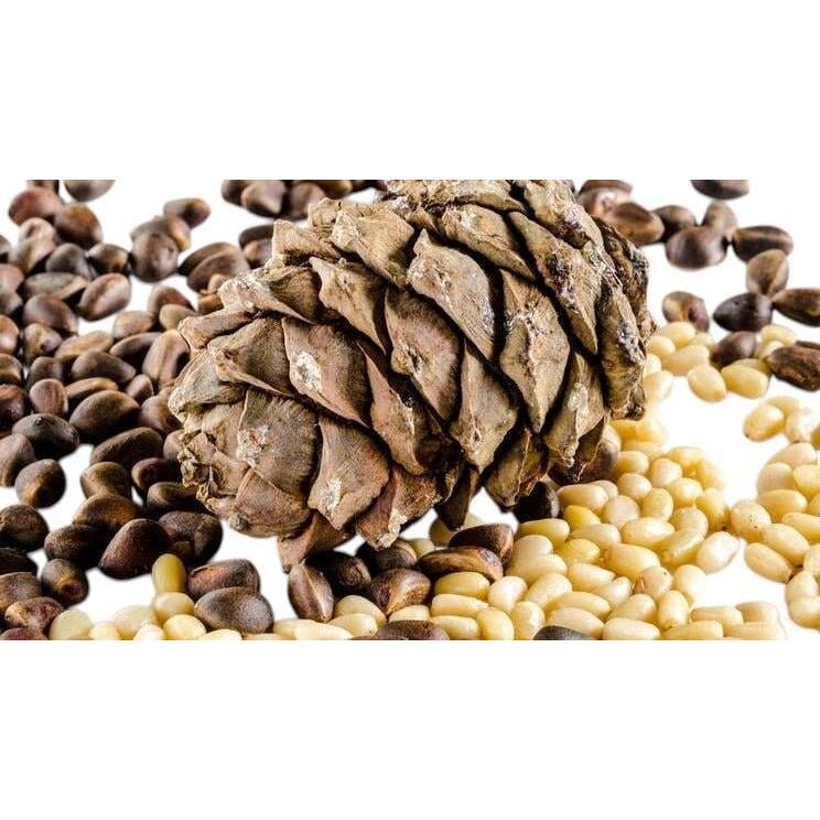 Pinienkerne in Premium-Qualität, naturbelassen - Frucht-Nuss